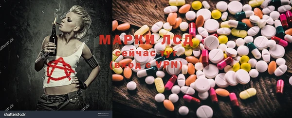 гидропоника Алзамай