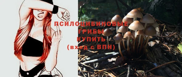 круглые Алексеевка