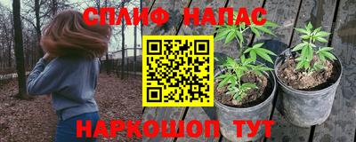 таблы Гатчина