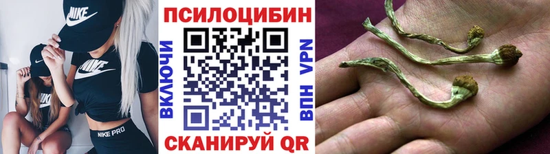 Галлюциногенные грибы прущие грибы  Моздок 